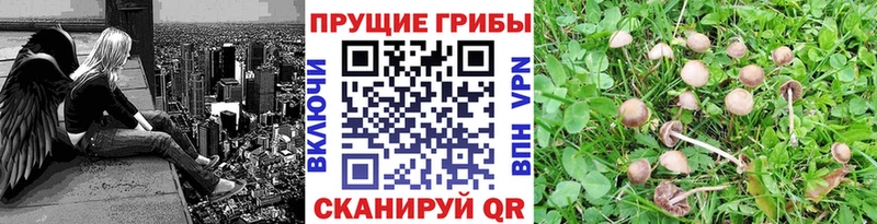 Галлюциногенные грибы ЛСД Тобольск