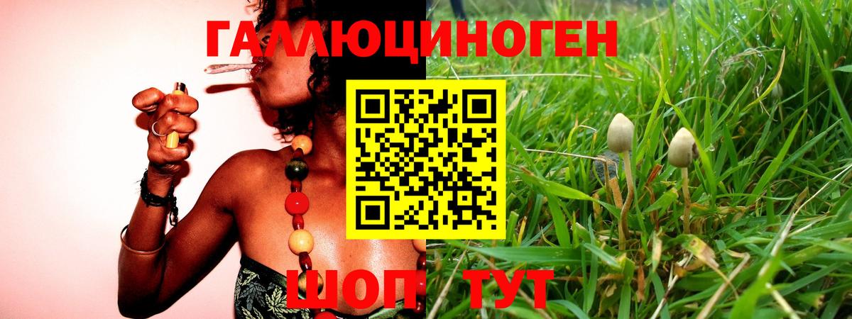 Тобольск  Галлюциногенные грибы прущие грибы  Вход с VPN 